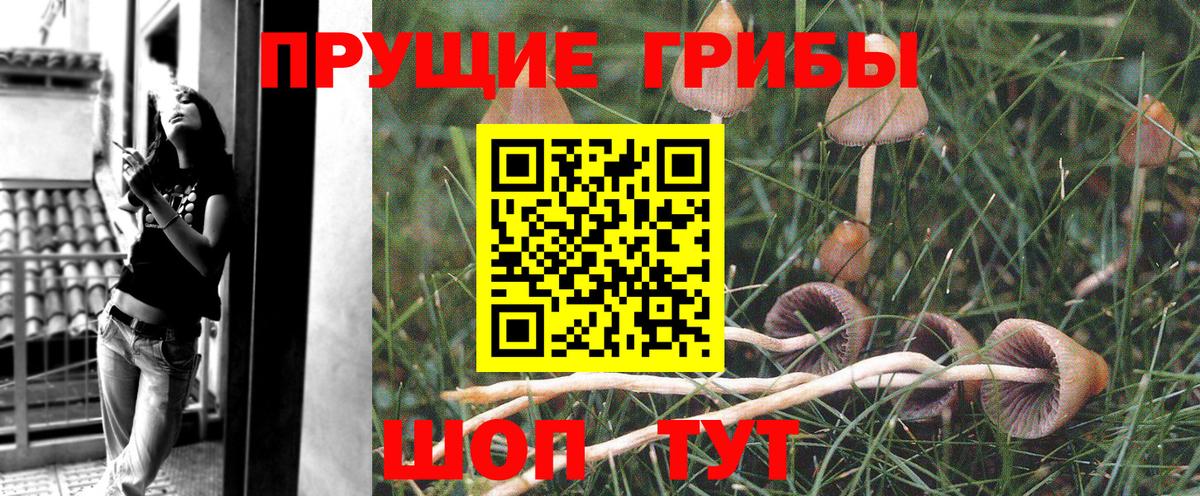 Псилоцибиновые грибы прущие грибы  Вход с VPN  Саранск 